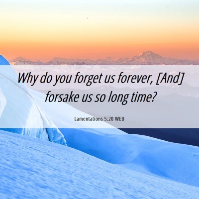 Picture 06 - Lamentations 5:20 WEB - Why do you forget us forever, [And] forsake us so - Bible Verse Picture