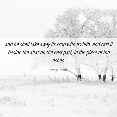 Picture 06 - Leviticus 1:16 WEB - and he shall take away its crop with its filth, - Bible Verse Picture