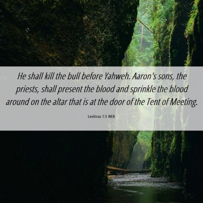 Picture 06 - Leviticus 1:5 WEB - He shall kill the bull before Yahweh. Aaron's - Bible Verse Picture