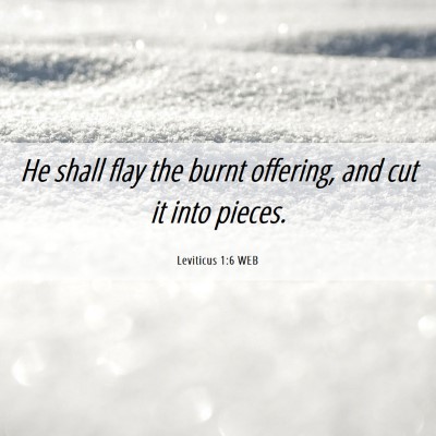 Picture 06 - Leviticus 1:6 WEB - He shall flay the burnt offering, and cut it into - Bible Verse Picture