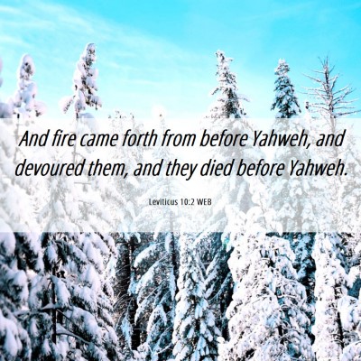Picture 06 - Leviticus 10:2 WEB - And fire came forth from before Yahweh, and - Bible Verse Picture