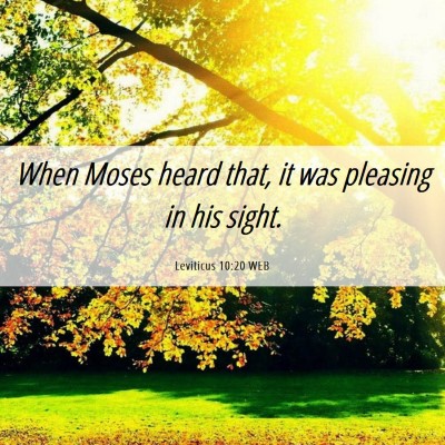 Picture 06 - Leviticus 10:20 WEB - When Moses heard that, it was pleasing in his - Bible Verse Picture