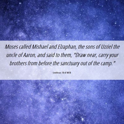 Picture 06 - Leviticus 10:4 WEB - Moses called Mishael and Elzaphan, the sons of - Bible Verse Picture