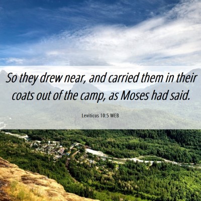 Picture 06 - Leviticus 10:5 WEB - So they drew near, and carried them in their - Bible Verse Picture