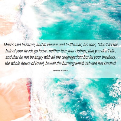 Picture 06 - Leviticus 10:6 WEB - Moses said to Aaron, and to Eleazar and to - Bible Verse Picture