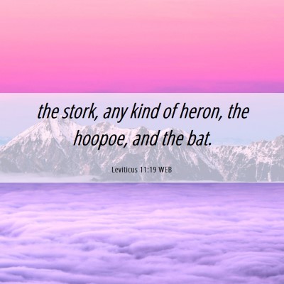Picture 06 - Leviticus 11:19 WEB - the stork, any kind of heron, the hoopoe, and the - Bible Verse Picture