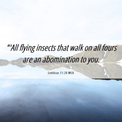 Picture 06 - Leviticus 11:20 WEB - 