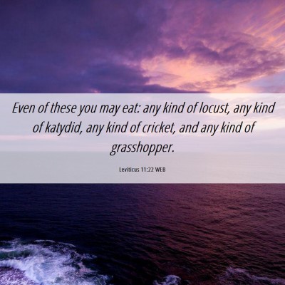 Picture 06 - Leviticus 11:22 WEB - Even of these you may eat: any kind of locust, - Bible Verse Picture