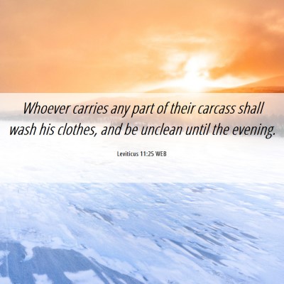 Picture 06 - Leviticus 11:25 WEB - Whoever carries any part of their carcass shall - Bible Verse Picture