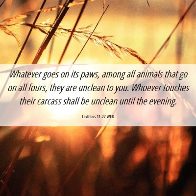 Picture 06 - Leviticus 11:27 WEB - Whatever goes on its paws, among all animals that - Bible Verse Picture
