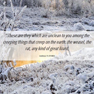 Picture 06 - Leviticus 11:29 WEB - 