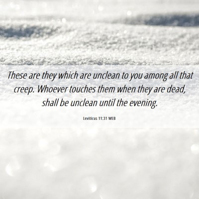 Picture 06 - Leviticus 11:31 WEB - These are they which are unclean to you among all - Bible Verse Picture