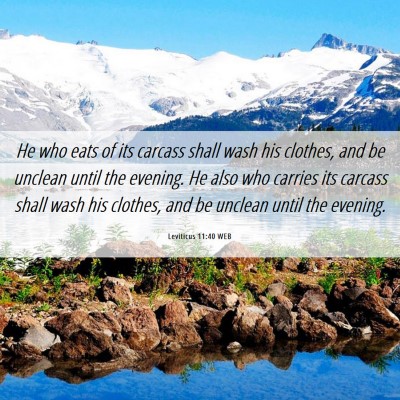 Picture 06 - Leviticus 11:40 WEB - He who eats of its carcass shall wash his - Bible Verse Picture