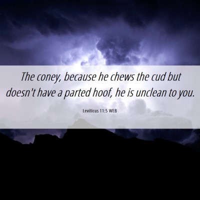 Picture 06 - Leviticus 11:5 WEB - The coney, because he chews the cud but doesn't - Bible Verse Picture