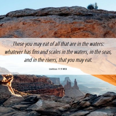 Picture 06 - Leviticus 11:9 WEB - These you may eat of all that are in the waters: - Bible Verse Picture