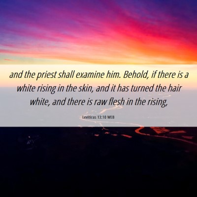 Picture 06 - Leviticus 13:10 WEB - and the priest shall examine him. Behold, if - Bible Verse Picture