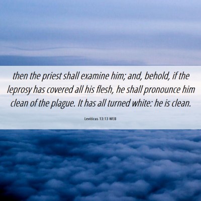 Picture 06 - Leviticus 13:13 WEB - then the priest shall examine him; and, behold, - Bible Verse Picture