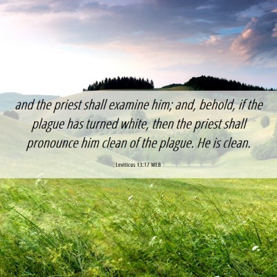 Picture 06 - Leviticus 13:17 WEB - and the priest shall examine him; and, behold, if - Bible Verse Picture