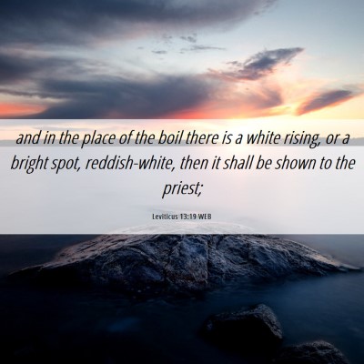 Picture 06 - Leviticus 13:19 WEB - and in the place of the boil there is a white - Bible Verse Picture