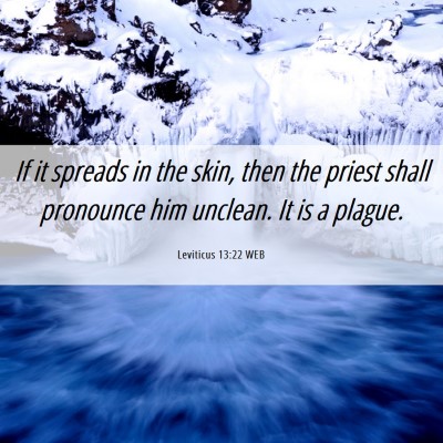 Picture 06 - Leviticus 13:22 WEB - If it spreads in the skin, then the priest shall - Bible Verse Picture