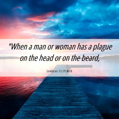 Picture 06 - Leviticus 13:29 WEB - 