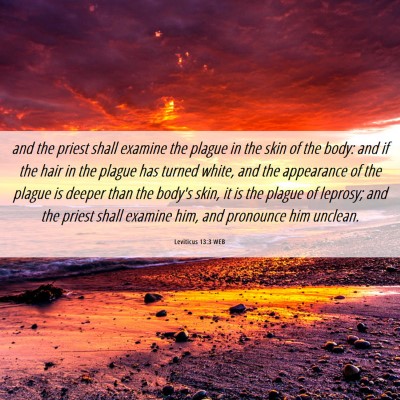 Picture 06 - Leviticus 13:3 WEB - and the priest shall examine the plague in the - Bible Verse Picture