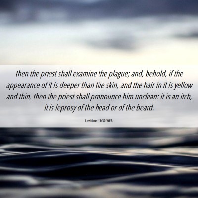 Picture 06 - Leviticus 13:30 WEB - then the priest shall examine the plague; and, - Bible Verse Picture