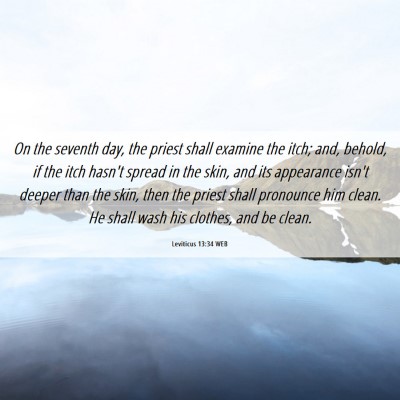 Picture 06 - Leviticus 13:34 WEB - On the seventh day, the priest shall examine the - Bible Verse Picture