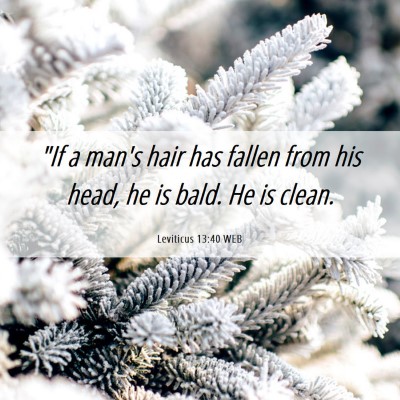 Picture 06 - Leviticus 13:40 WEB - 