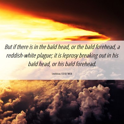Picture 06 - Leviticus 13:42 WEB - But if there is in the bald head, or the bald - Bible Verse Picture