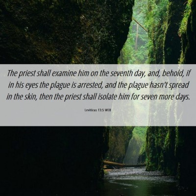 Picture 06 - Leviticus 13:5 WEB - The priest shall examine him on the seventh day, - Bible Verse Picture