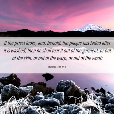 Picture 06 - Leviticus 13:56 WEB - If the priest looks, and, behold, the plague has - Bible Verse Picture