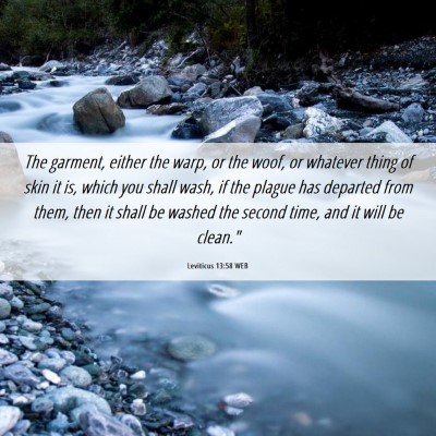 Picture 06 - Leviticus 13:58 WEB - The garment, either the warp, or the woof, or - Bible Verse Picture