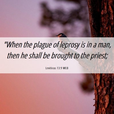 Picture 06 - Leviticus 13:9 WEB - 