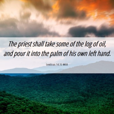 Picture 06 - Leviticus 14:15 WEB - The priest shall take some of the log of oil, and - Bible Verse Picture