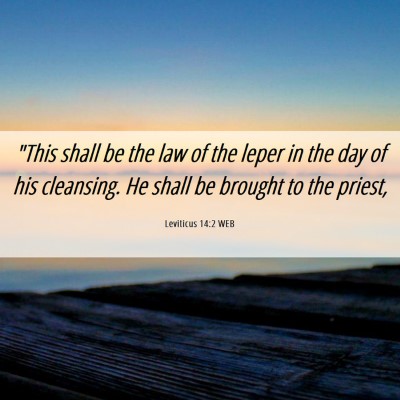 Picture 06 - Leviticus 14:2 WEB - 
