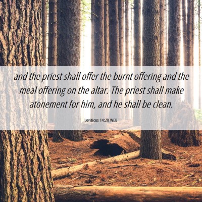 Picture 06 - Leviticus 14:20 WEB - and the priest shall offer the burnt offering and - Bible Verse Picture