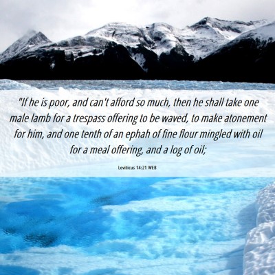 Picture 06 - Leviticus 14:21 WEB - 