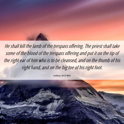 Picture 06 - Leviticus 14:25 WEB - He shall kill the lamb of the trespass offering. - Bible Verse Picture