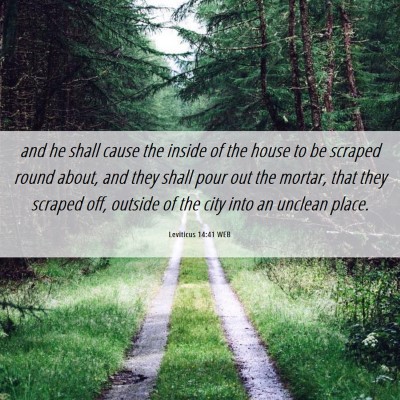 Picture 06 - Leviticus 14:41 WEB - and he shall cause the inside of the house to be - Bible Verse Picture