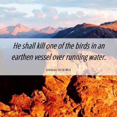 Picture 06 - Leviticus 14:50 WEB - He shall kill one of the birds in an earthen - Bible Verse Picture
