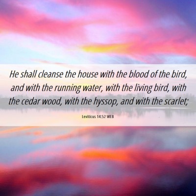 Picture 06 - Leviticus 14:52 WEB - He shall cleanse the house with the blood of the - Bible Verse Picture