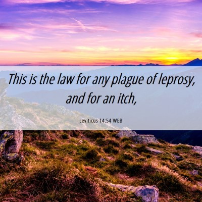 Picture 06 - Leviticus 14:54 WEB - This is the law for any plague of leprosy, and - Bible Verse Picture