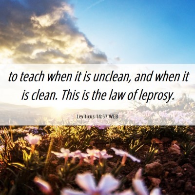 Picture 06 - Leviticus 14:57 WEB - to teach when it is unclean, and when it is - Bible Verse Picture