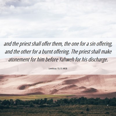 Picture 06 - Leviticus 15:15 WEB - and the priest shall offer them, the one for a - Bible Verse Picture