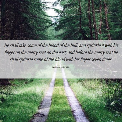 Picture 06 - Leviticus 16:14 WEB - He shall take some of the blood of the bull, and - Bible Verse Picture