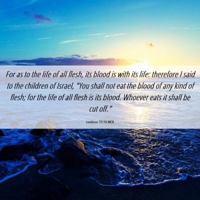 Picture 06 - Leviticus 17:14 WEB - For as to the life of all flesh, its blood is - Bible Verse Picture