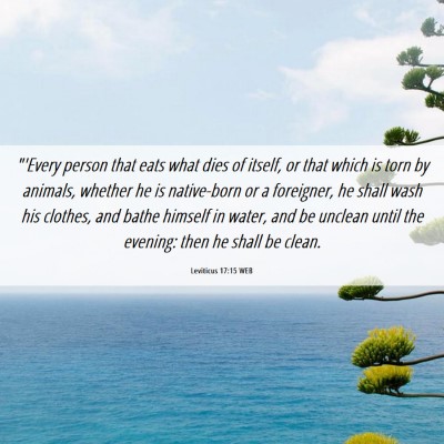 Picture 06 - Leviticus 17:15 WEB - 