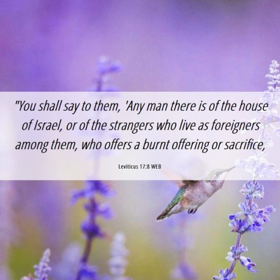 Picture 06 - Leviticus 17:8 WEB - 
