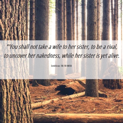 Picture 06 - Leviticus 18:18 WEB - 